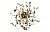 Бра Crystal Lux GARDEN AP-PL3 D400 GOLD
